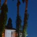 Palma Rosa 3* (Чамьюва, Турция): честный обзор и подбор тура