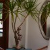 Palma Rosa 3* (Чамьюва, Турция): честный обзор и подбор тура