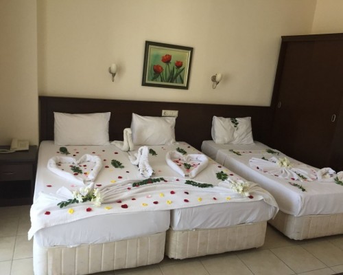 Elamir Park 3* в Кемере: честный обзор от турагента