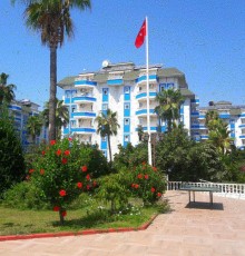 Tac Garden 3*
