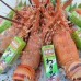 Vinh Suong Seaside Hotel & Resort 3* в Фантхьете