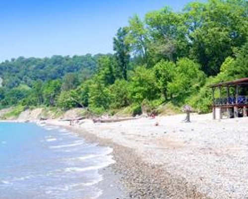 Отель Золотой Берег в Гудауте — отдых у моря в Абхазии