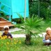 Золотая Бухта, Пицунда — база отдыха 1*
