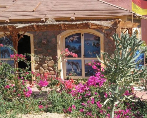 Hauza Mandarin Resort 4* — Шарм-эль-Шейх, Набк Бэй