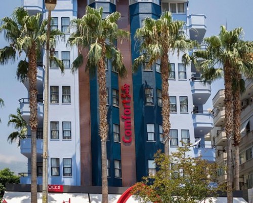 Flower Suite Hotel 3* в Аланье: честный разбор от турагента