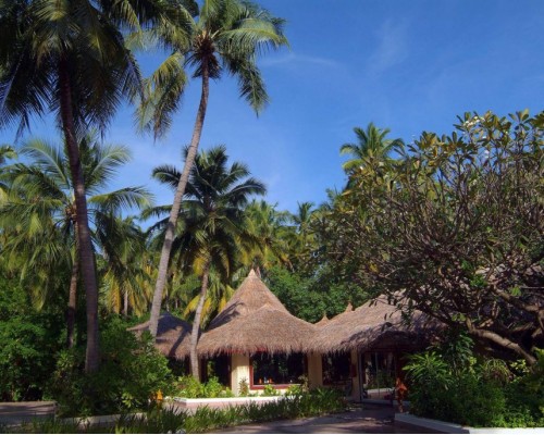 Biyadhoo Island Resort 3* — Южный Мале, Мальдивы