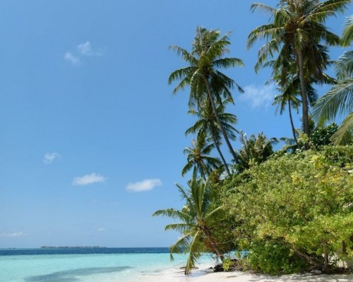 Biyadhoo Island Resort 3* — Южный Мале, Мальдивы