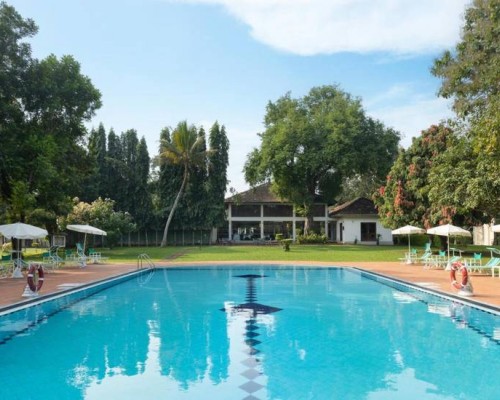 Tamarind Tree Hotel 3* в Негомбо: что важно знать перед бронированием