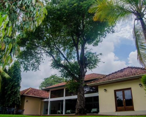 Tamarind Tree Hotel 3* в Негомбо: что важно знать перед бронированием