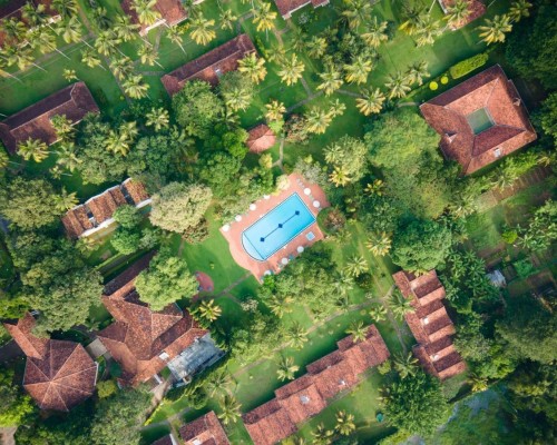 Tamarind Tree Hotel 3* в Негомбо: что важно знать перед бронированием