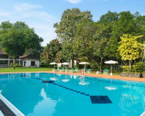 Tamarind Tree Hotel 3* в Негомбо: что важно знать перед бронированием