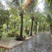 Golden Peak Resort & Spa 4* — Фантхьет