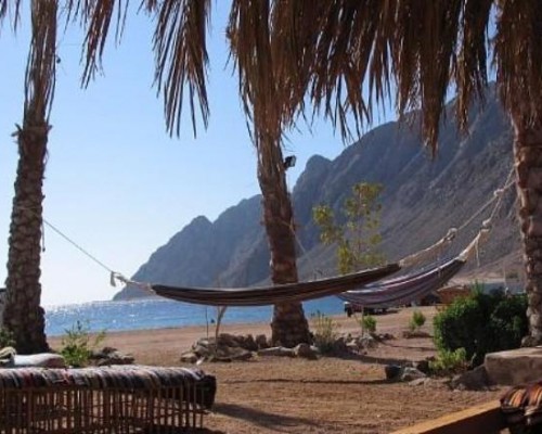 Golden Heights Resort 4* в Дахабе