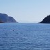 Alarga Sail Boutique Hotel & Yacht Club 5* — Турунч, Турция