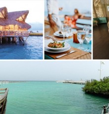 THE PUNTACANA HOTEL 4*