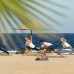 Three Corners Happy Life Beach Resort 4* — Марса Алам