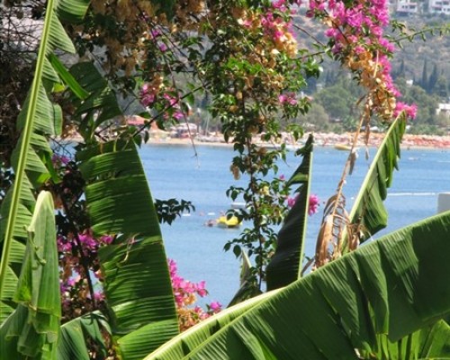 Milport Hotel Bodrum 3* — отдых в Битезе, Турция