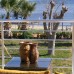 Milport Hotel Bodrum 3* — отдых в Битезе, Турция