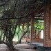 Kumudu Valley Resort 2* — Негомбо, Шри-Ланка