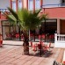 Leganya Beach Suite Hotel 3* (Аланья): честный обзор от турагента