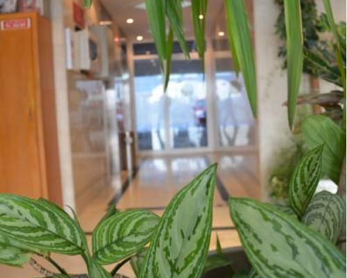 Premiere Hotel Apartments 3*