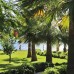 Villa Augusto Boutique Hotel & Spa, Конаклы — подбор тура