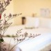 Holiday Hotel 2* в Нячанге