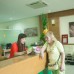 Sophia Sky Hotel 3* в Нячанге: что важно знать перед бронированием