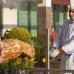 Luna Blanca Resort & Spa 5* в Кумкое: подбор тура с турагентом Галиной