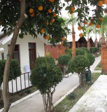River Park Bungalows 3*