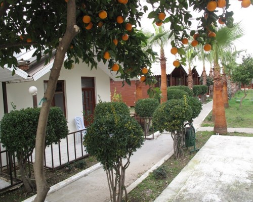River Park Bungalows 3* в Сиде — честный обзор от турагента