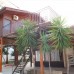 River Park Bungalows 3* в Сиде — честный обзор от турагента