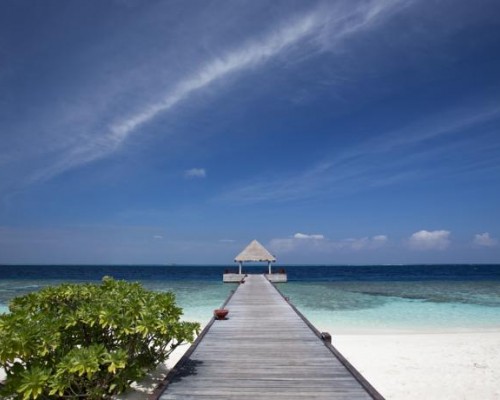 Bathala Island 3* — Ари Атолл, Мальдивы