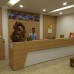 Vu Quy 1 Hotel 2* в Нячанге: что реально есть в отеле