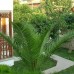 Отель Felice 3* в Кемере: честный разбор для подбора тура