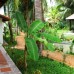 Green Hill Resort & Spa 3* — Фантхьет, Вьетнам