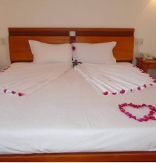 Botanic Hotel 2*