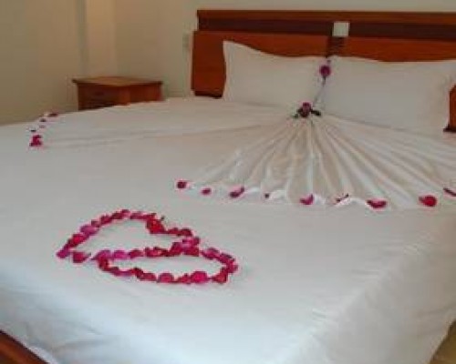 Botanic Hotel 2* в Нячанге — честный обзор от турагента