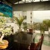 Ken Hotel 2* в Нячанге — что важно знать перед бронированием