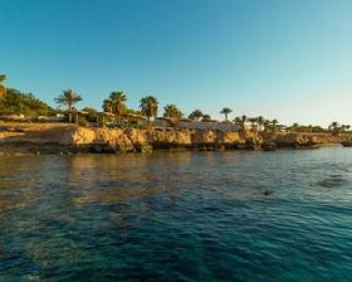 Le Mirage New Tower 4* в Шарм-эль-Шейхе — что важно знать
