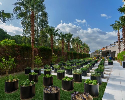 Liberty Kusadasi 5* в Кушадасы