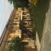 Hotel Kavo-de-Bukso в Гудауте — обзор от турагента