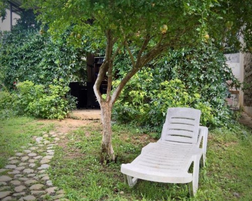 Relaxkomfort Guest House в Гудауте — гостевой дом без звёзд