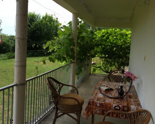 Country house Zolotoy Bereg в Гудауте: что важно знать до брони