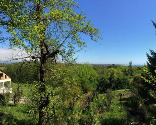 Country house Zolotoy Bereg в Гудауте: что важно знать до брони