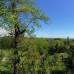 Country house Zolotoy Bereg в Гудауте: что важно знать до брони