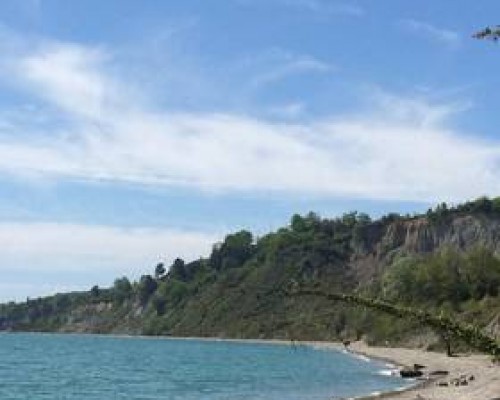 Country house Zolotoy Bereg в Гудауте: что важно знать до брони
