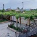 Guest house on Sosnalieva 46 в Гудауте: честный обзор