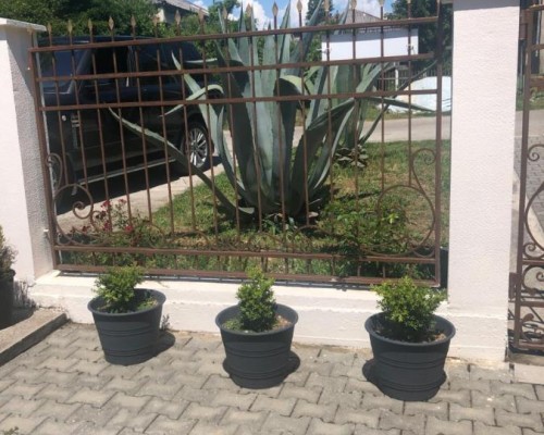 Guest House na Vozba 9A в Гудауте
