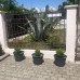 Guest House na Vozba 9A в Гудауте